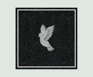 SD 6 – Dove